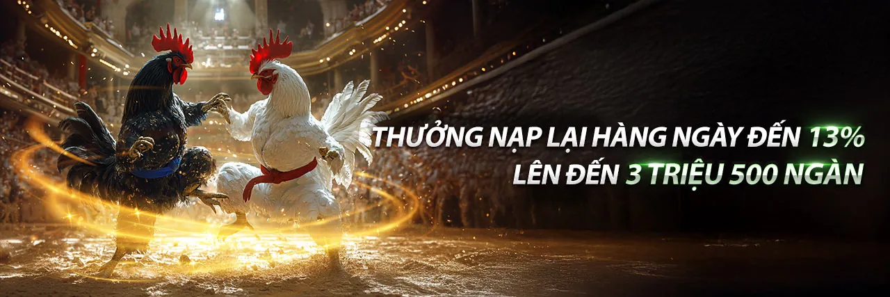 Đá gà trực tuyến shbet1 apk